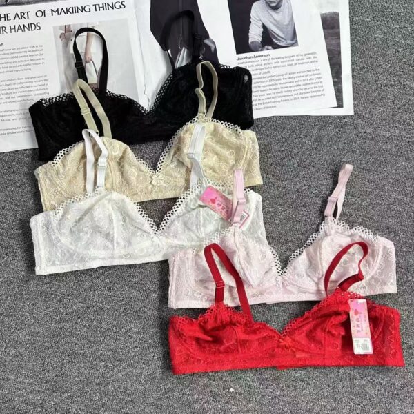 Chicken Lace Net Bra