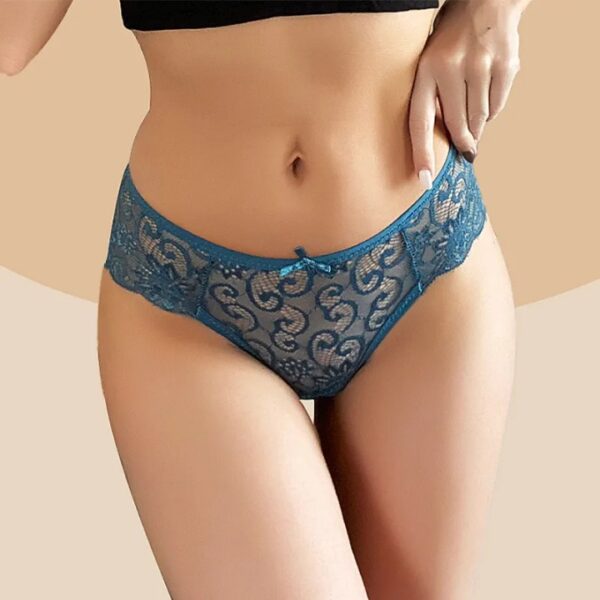 Lace Net Panties